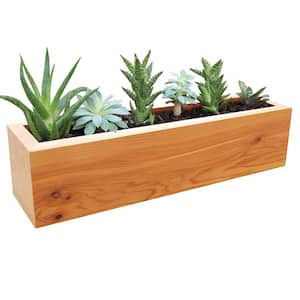 4 in. x 4 in. x 16 in. Succulent Planter Wood Rectangular