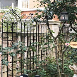 71 in. Metal Garden Rustproof Trellis for Climbing Plants, Black