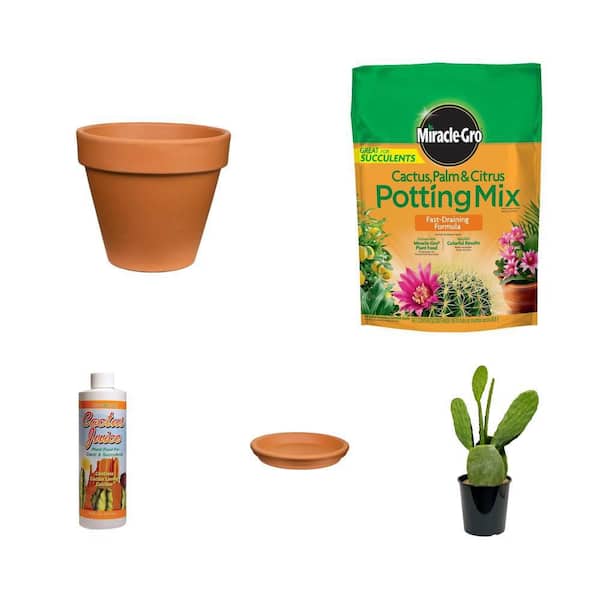 9.5 in. Clay Pot, 8 qt. Cactus Mix, 16 oz. Cactus Juice, 10 in. Saucer and 1.5 Gal. Opontia Plant Combo