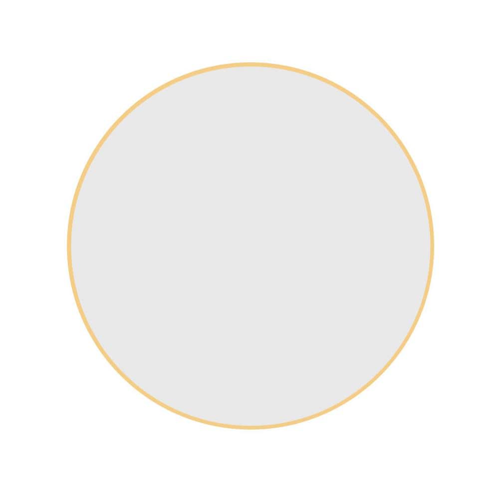 24 in. W x 24 in. H Rounded Aluminum Framed Wall Bathroom Vanity Mirror in 