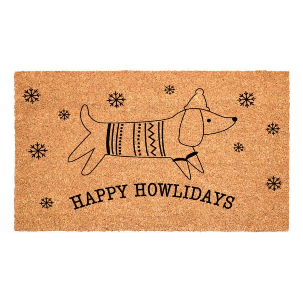 Multi-Colored 36 in. x 24 in. Coir Outdoor Door Mat price history on PriceWatchPro