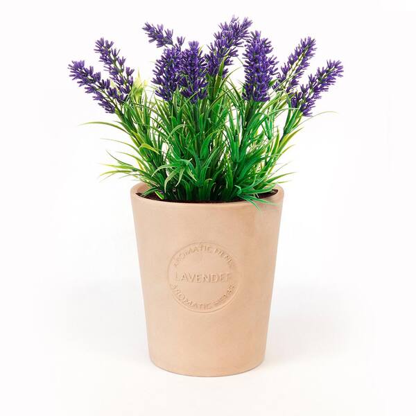 Unbranded Lavender Seeds in Natural Clay Planter