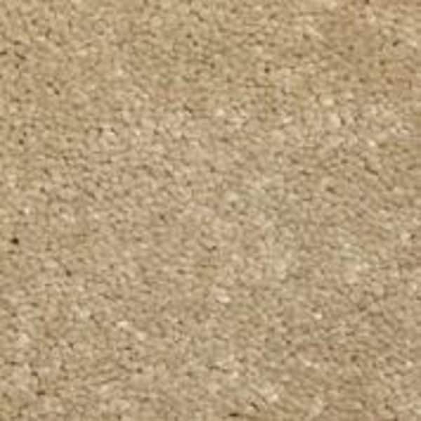 Home Decorators Collection 8 in. x 8 in. Texture Carpet Sample - Sycamore II -Color Chestnut