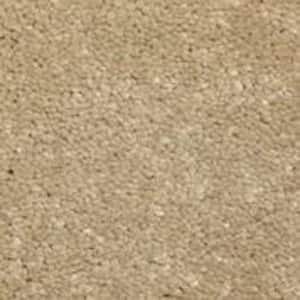 Sycamore II - Chestnut - Brown 58 oz. SD Polyester Texture Installed Carpet