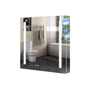 30 in. W x 30 in. H Medium Aluminum Recessed or Surface Mount Medicine Cabinet with Mirror and Lighted