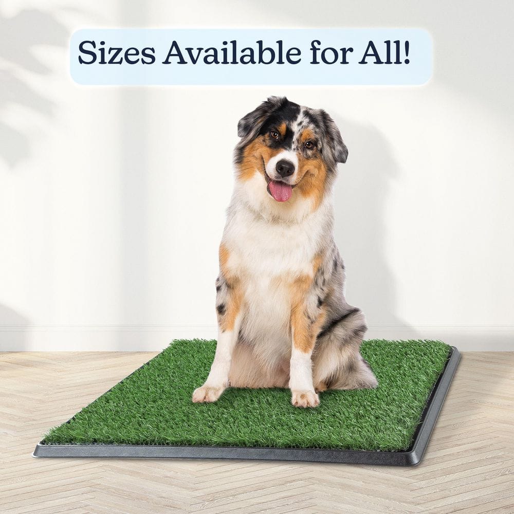 Medium Artificial Grass Puppy Potty Trainer with Tray