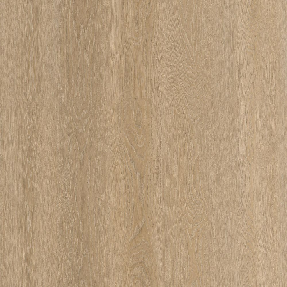 Take Home Sample-Woodland Oak 22 MIL x 9 in. W x 12. L Click Lock Waterproof Luxury Vinyl Plank Flooring price history on PriceWatchPro