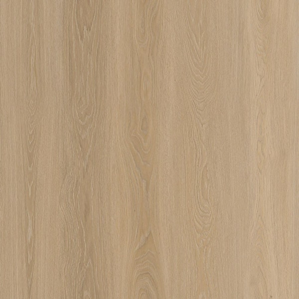Take Home Sample-Woodland Oak 22 MIL x 9 in. W x 12. L Click Lock Waterproof Luxury Vinyl Plank Flooring
