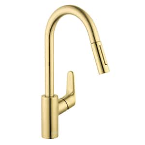 Focus Single-Handle Pull Down Sprayer Kitchen Faucet with QuickClean in Brushed Gold Optic