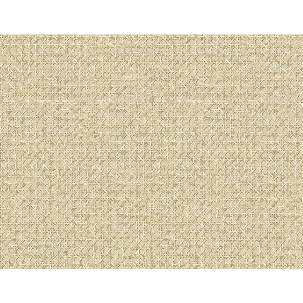 Seabrook Designs Hemp Mika Paper Unpasted Wallpaper Roll (60.75 sq. ft.)
