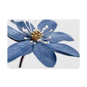Tom Quartermaine Blue Flower On White Canvas Unframed Photography Wall Art 22 in. x 32 in