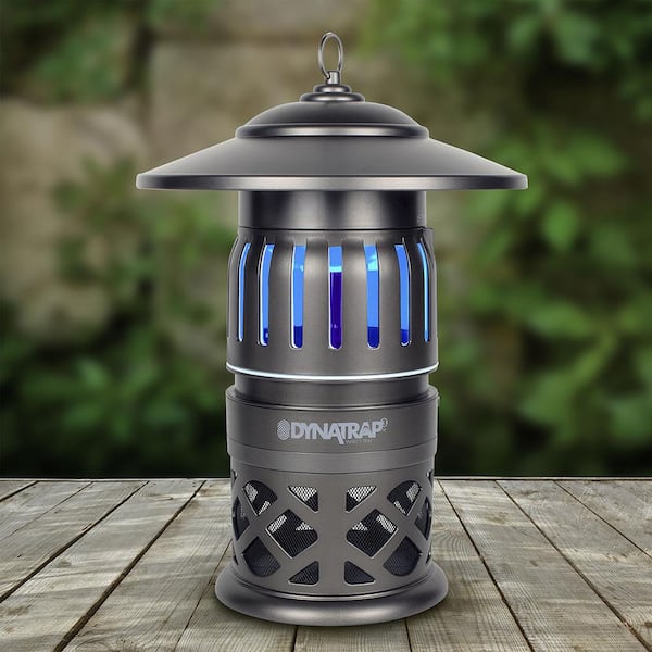Dynatrap Decora UV 1/2-Acre Tungsten Insect and Mosquito Trap DT1050-TUN -  The Home Depot