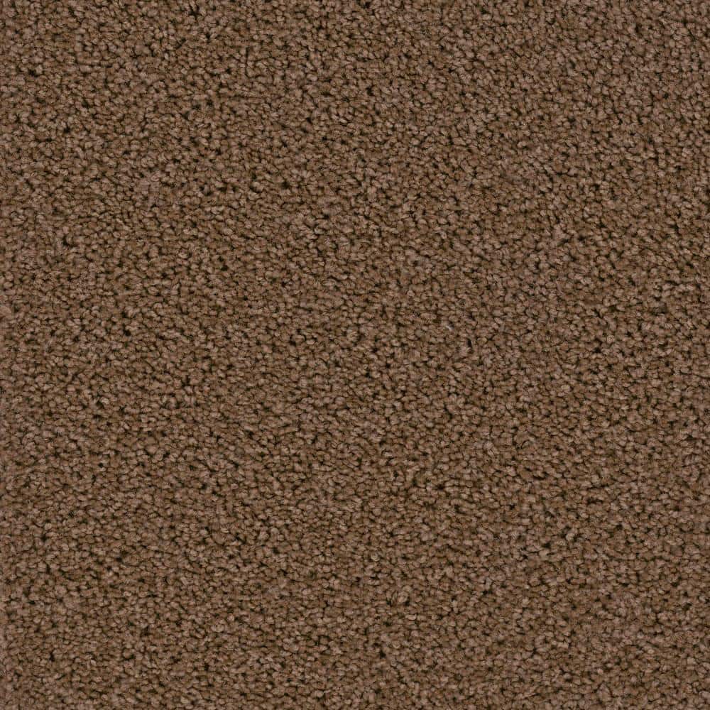 8 in. x  8 in. Texture Carpet Sample - Added Value -Color Fame price history on PriceWatchPro