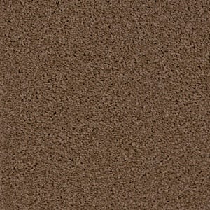 8 in. x  8 in. Texture Carpet Sample - Added Value -Color Fame