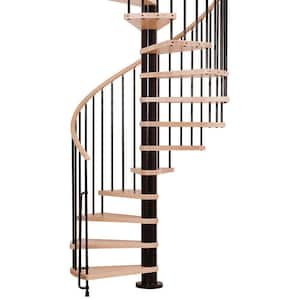 Phoenix 55 in. Black Spiral Staircase Kit