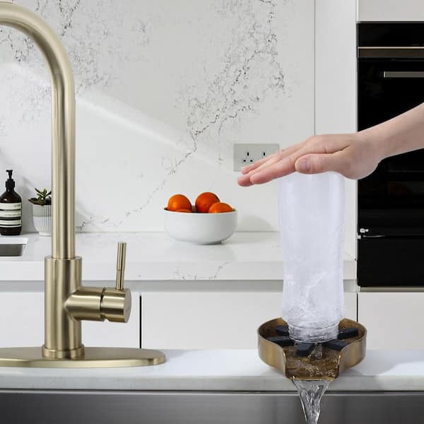 5 in. Stainless Steel Glass Rinser Cup Washer with Silicone Blade and Supply Lines for Kitchen Sinks in Gold