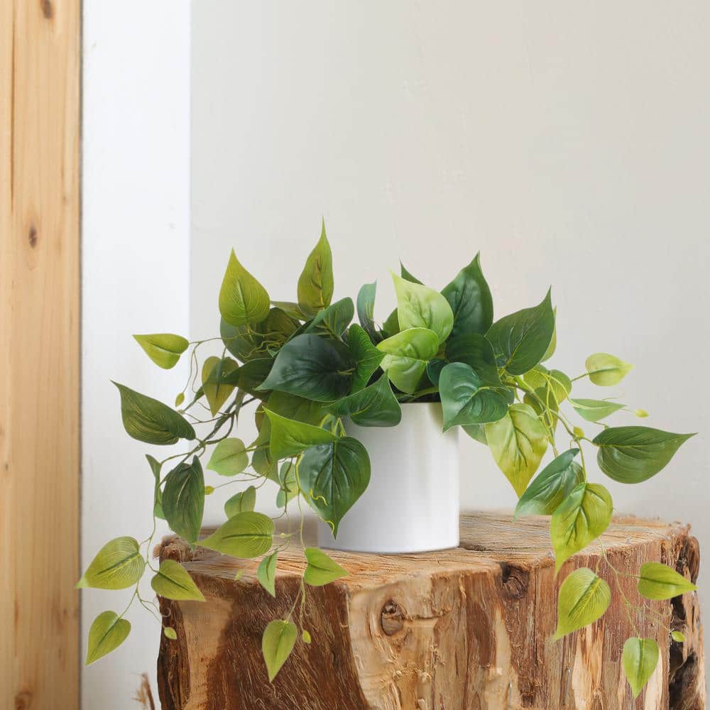 Elegant Potted White Pothos Ivy, 13in Plastic Outdoor Plant