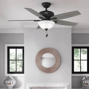 Newsome 52 in. Indoor Flat Matte Black Ceiling Fan with Light Kit Included