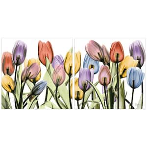"Tulip Scape" Unframed Free Floating Tempered Art Glass Flower Wall Art Print 24 in. x 24 in. (Set of 2)