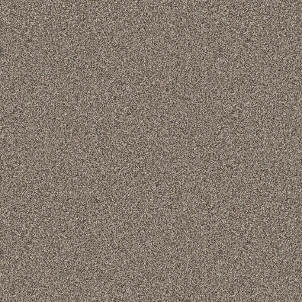 8 in. x 8 in. Texture Carpet Sample - Cuddle Cakes I - Color Desert Floor price history on PriceWatchPro