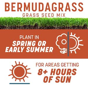 Smart Seed Bermudagrass 1.75 lb. 1,000 sq. ft. Grass Seed and Lawn Fertilizer