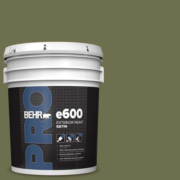 5 gal. #S370-7 Outdoor Oasis Satin Exterior Paint