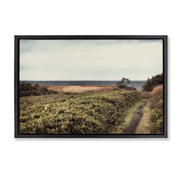 Stupell Industries Serene Coastal Pathway by Andy Amos Black Floater Frame Nature Graphic Art Print 17 in. x 25 in.