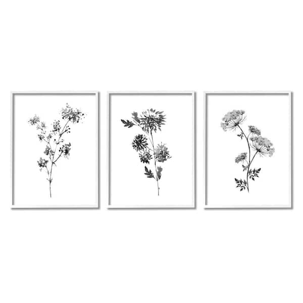 Stupell Industries Cornflower Wildflower Black Florals by Conrad Knutsen 3-Piece Framed Print Nature Texturized Art 16 in. x 20 in.