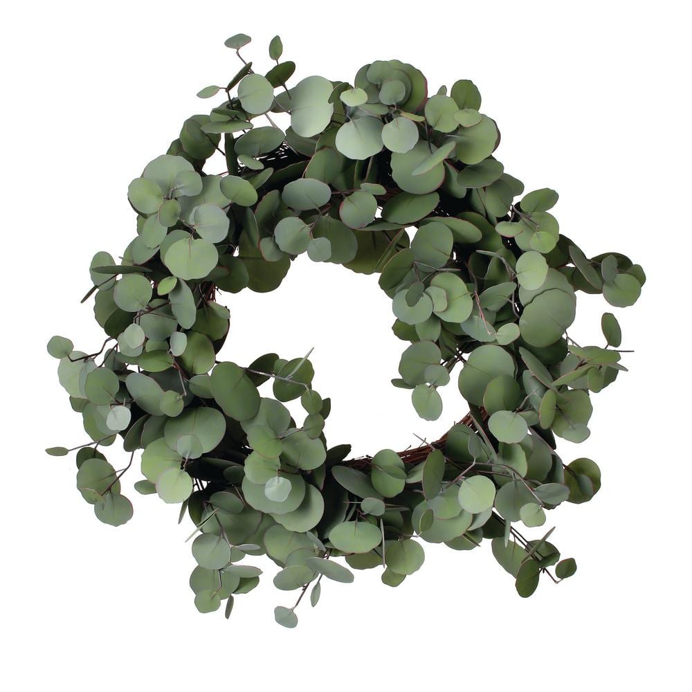 Regency International Silver Dollar 24 in. Eucalyptus Artificial Wreath ...