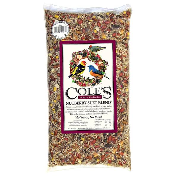 20 lb. Nutberry Suet Blend Assorted Species Sunflower Meats Wild Bird Seed Food