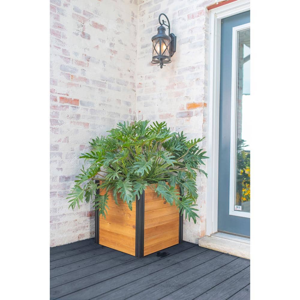 Mezza 22" Golden Brown Cedar Cube Planter with Modern Minimalist Design