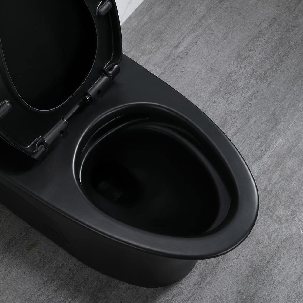 Matte Black Ceramic Dual Flush Elongated Toilet with Soft-Close Seat