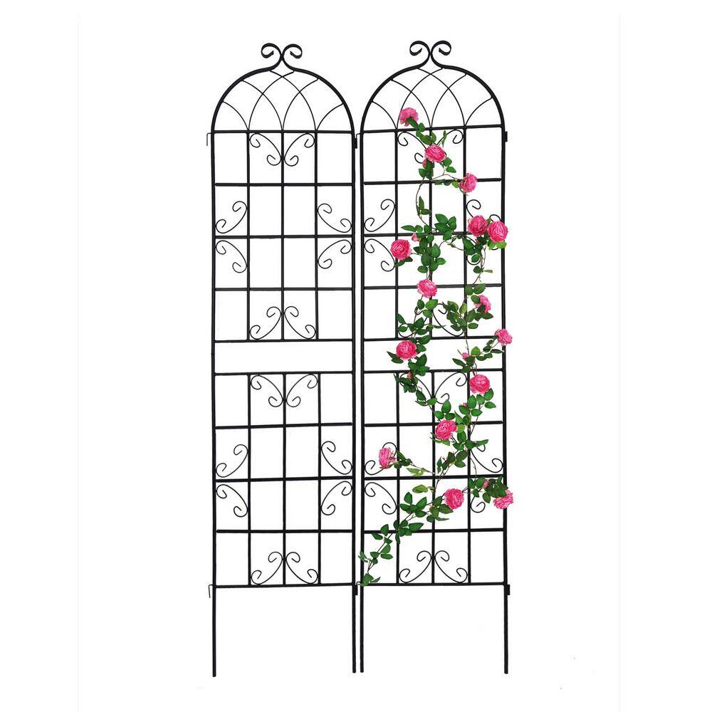 Sudzendf 86 .7 in. 2 Pack Black Metal Garden Trellis Outdoor Flower