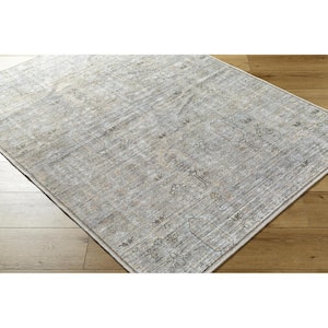 Darling Taupe/Ice Blue Traditional Washable 3 ft. x 10 ft. Indoor Area Rug