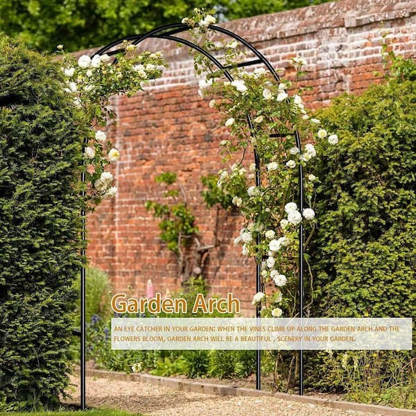 7.9 ft. Wide x 6.4 ft. High Black Metal Garden Arch for Climbing