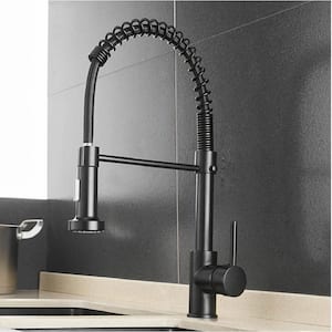 Single-Handle High Arc Pull Down Sprayer Kitchen Faucet in Matte Black