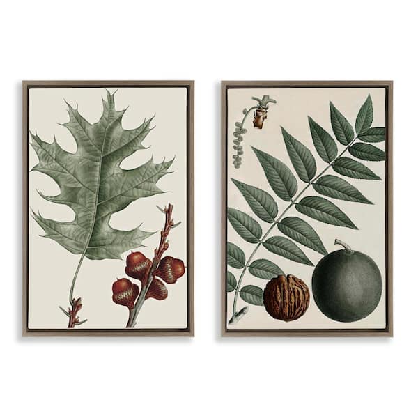 Stupell Industries Tree Leaves and Nuts by Graffi*tee Studios 2 Pieces Brown Floater Frame Nature Graphic Art Print 31 in. x 21 in.