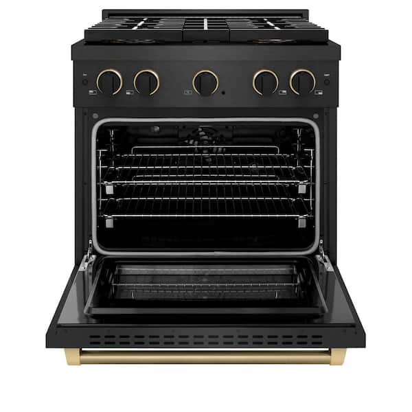 Designer 30 in. 4.2 cu. ft. Dual Fuel Range with 4 Burner DuoPro Cooktop in Black Satin with Black and Champagne Accents