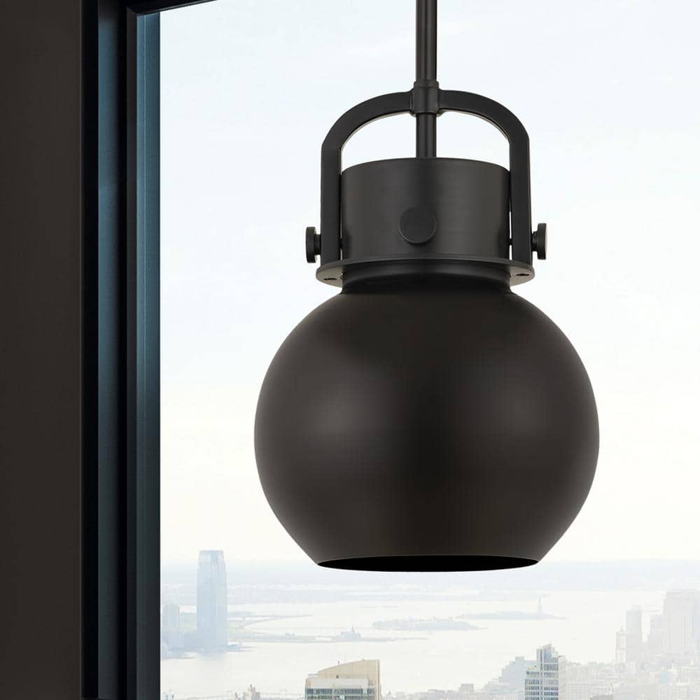 Matte Black Globe Indoor/Outdoor Pendant Light