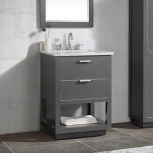 Allie 25 in. W x 22 in. D Bath Vanity in Gray with Silver Trim with Marble Vanity Top in Carrara White with Basin