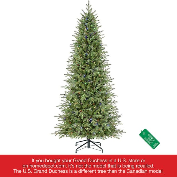 Home Decorators Collection 7.5 ft. Pre-Lit LED Grand Duchess Fir