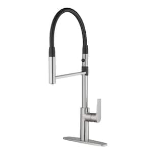 Lizetta 1-Hand Pull Down Kitchen Faucet in Stainless Steel