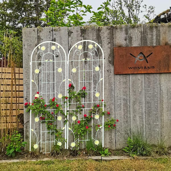 2-Pack 71 in. x 19.7 in. Metal Garden Trellis Rustproof Trellis for Climbing Plants Outdoor Flower Support Cream White