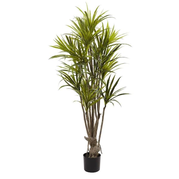 Nearly Natural Indoor 5 ft. Artificial Dracaena Silk Tree