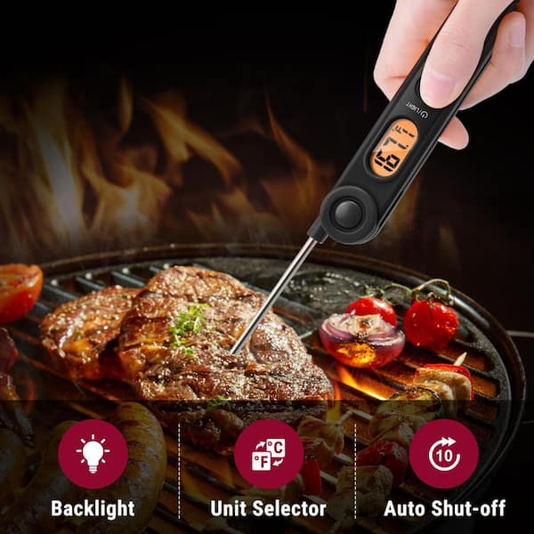  Meat Thermometers Timers 1Pc Instant Reading Digital Food  Thermometer Kitchen Cooking BBQ Meat Probe (Black) : Home & Kitchen