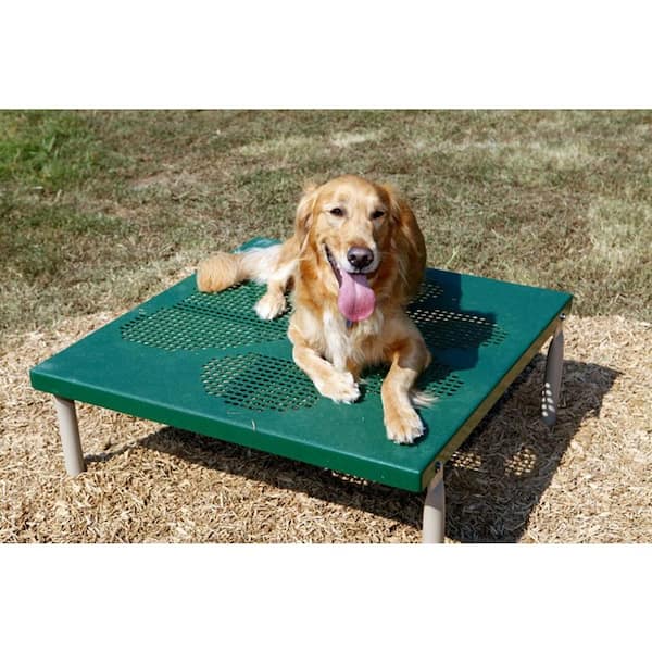 BarkPark Dog Agility Paws Grooming Table, Green/Beige