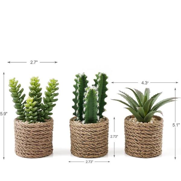 2.7 in 3-Pack Green Indoor Artificial Succulent Plants in Plastic Pots for  Home Office Living Room Bathroom Decor 59C1124D1940 - The Home Depot