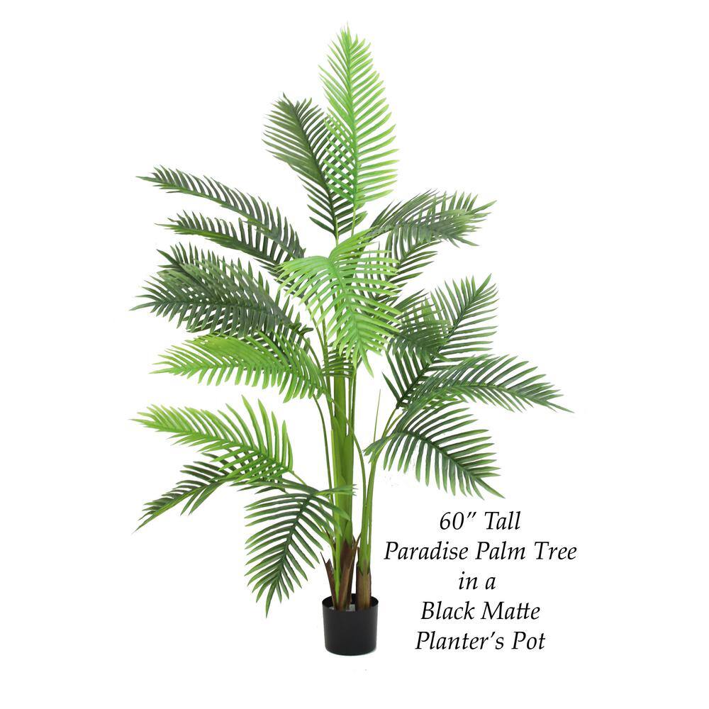 60" Green Silk Artificial Paradise Palm Tree in Black Planter