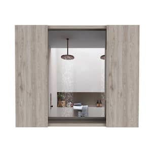 Anky 23.6 in. W x 19.5 in. H Rectangular MDF Medicine Cabinet with Mirror in Beige