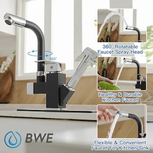 Double-Handle Pull-Out Sprayer 2 Spray Low Arc Kitchen Faucet With Deck Plate in Matte Black & Polished Chrome